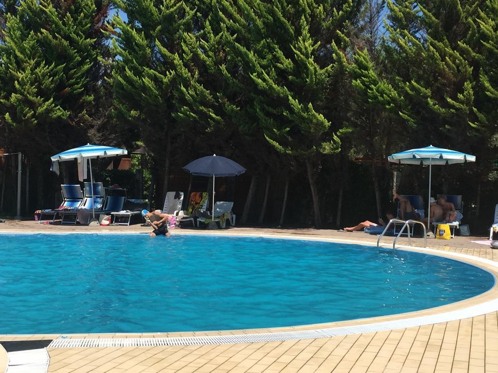 Camping Paradiso Viareggio Exterior foto