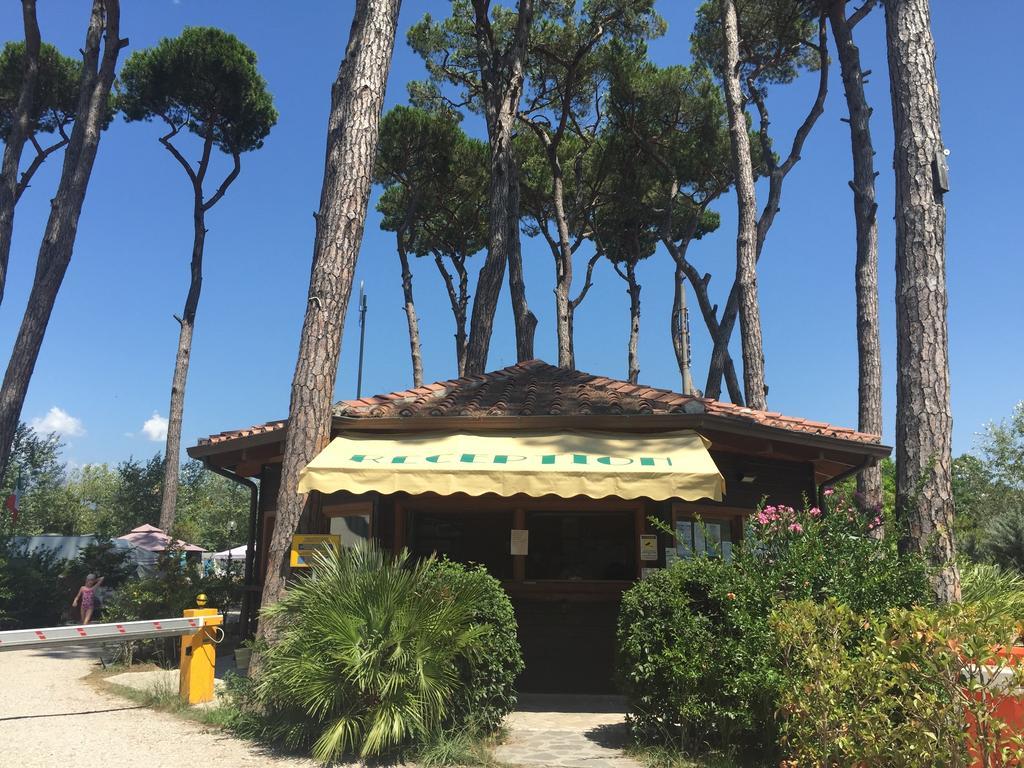 Camping Paradiso Viareggio Exterior foto